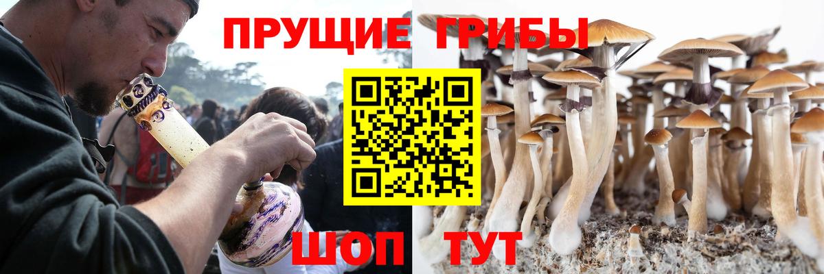 Екатеринбург  Псилоцибиновые грибы мицелий  Вход с VPN 